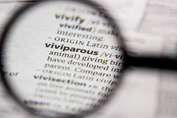 Word or phrase Viviparous in a dictionary.