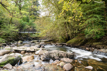 Kinglas Water, Ardkinglas Woodland Garden, Cairndow, Argyll & Bute, Scotland