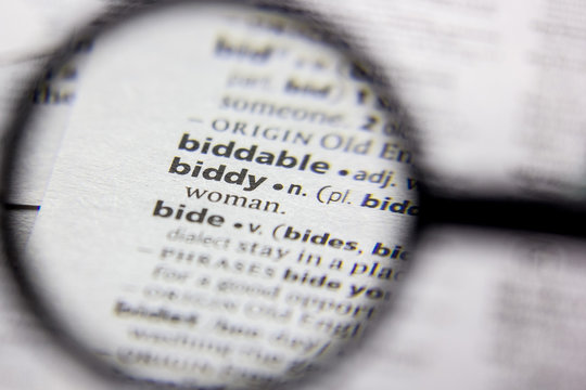 Word or phrase Biddy in a dictionary.