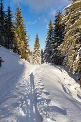 Eine Tiefschneewanderung am Berg in den Salzburger Alpen mit der Sonne im Rücken