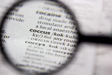 Word or phrase Coccus in a dictionary.