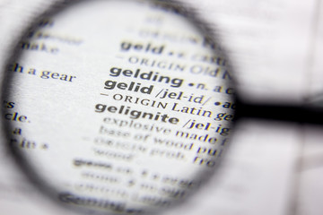 Word or phrase Gelid in a dictionary.