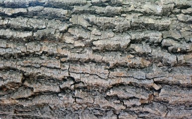 stone wall texture