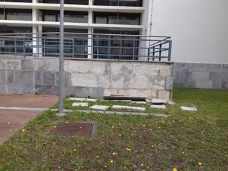Parede despida