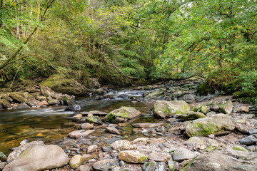 Kinglas Water, Ardkinglas Woodland Garden, Cairndow, Argyll & Bute, Scotland