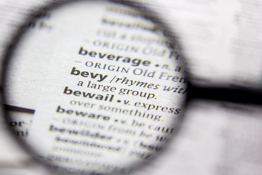 Word or phrase Bevy in a dictionary.
