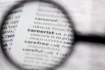 Word or phrase Careerist in a dictionary.