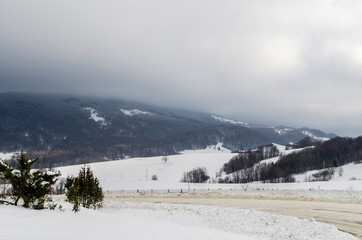 połoniny we mgle bieszczady