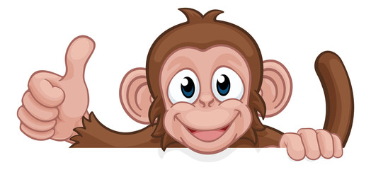 A monkey cartoon character animal peeking over a sign and giving a thumbs up © Christos Georghiou