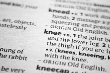 Fototapeta premium Word or phrase Knee in a dictionary.