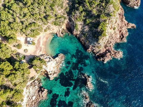 Ibiza beach. Cala Olivera, Ibiza. Sapin.