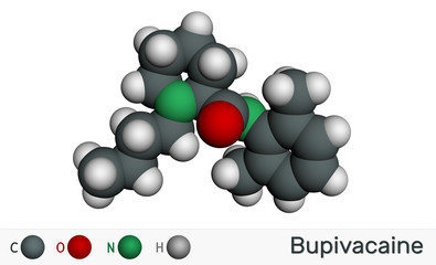 Bupivacaine molecule, is an amide-type, long-acting local anesthetic. Molecular model