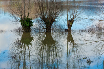 The devastating effects of a flood