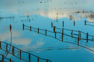 The devastating effects of a flood