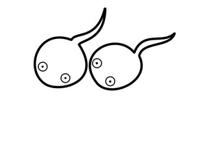 おたまじゃくし１２(線画)