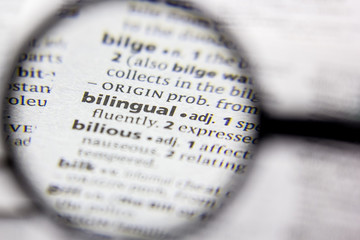 Word or phrase Bilingual in a dictionary.