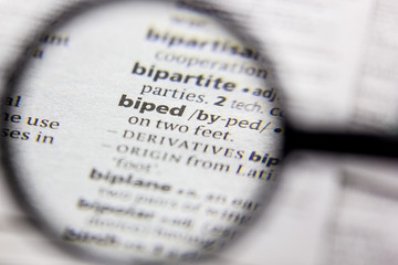 Word or phrase Biped in a dictionary.