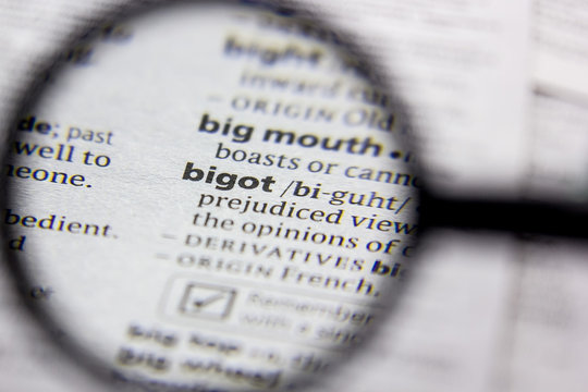 Word or phrase Bigot in a dictionary.