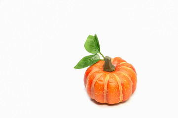 One pumpkin on a white scene