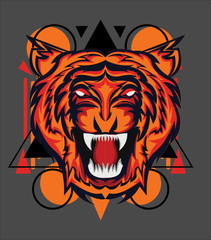 wild tiger geometry concept