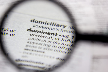 Fototapeta premium Word or phrase Dominant in a dictionary.