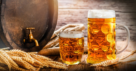 Beer glasses and beer barrel with wheat on wooden table in a cellar. Gold beers for oktoberfest wide banner or panorama photo.