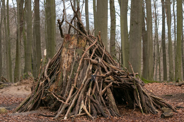 forest shelter