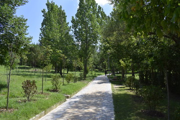 Grand park of Tirana, Albania