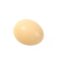 Egg isolated on white background