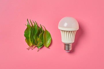 Light led bulb near fresh green leaves on pink background. Concept of saving and alternative...
