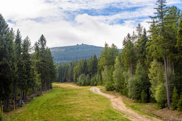 Fototapeta na wymiar Summer view of forest path on slope of Szrenica Mountain