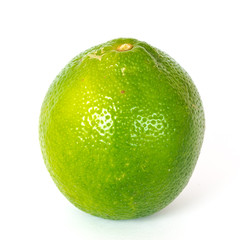 A whole lime isolated