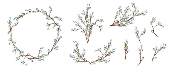 Backgrounds' set of realistic willow branches in spring  time with blooming fluffy buds. Wreath, bouquets, garland and isolated elements. Easter decor. Hand painted watercolor.