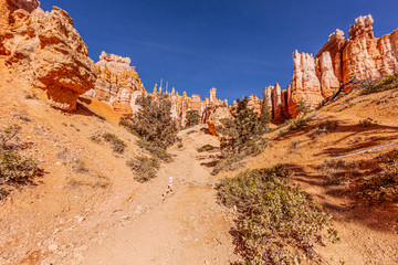 Picture of Bryce Canyon in Utah in winter during daytime