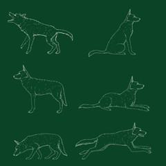 Vector Set of Chalk Sketch German Shepherd Dog Illustrations