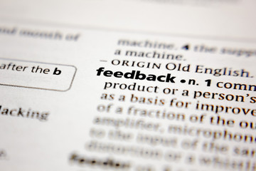 Word or phrase feedback in a dictionary.