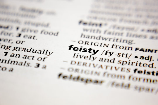 Word or phrase feisty in a dictionary.