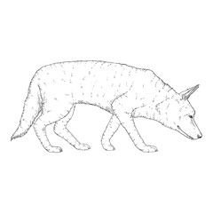 Vector Sketch Searching German Shepherd Dog