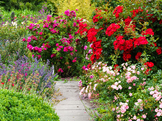 Bright flower display around a garden path in a cottage garden in summer