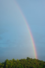 rainbow in rainy season over the forest on the mountain
