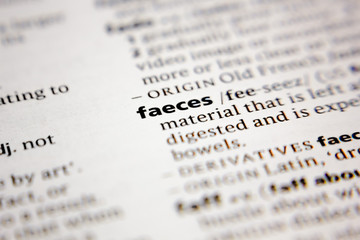 Fototapeta premium Word or phrase faeces in a dictionary.