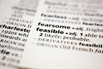 Word or phrase feasible in a dictionary.
