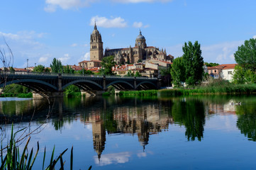 Fototapeta na wymiar Panoramic view of the cathedral of Salamanca. Spain
