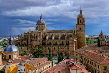 Fototapeta premium Panoramic view of the cathedral of Salamanca. Spain