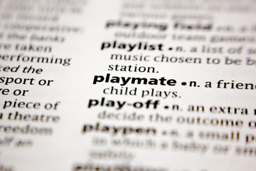Word or phrase playmate in a dictionary.