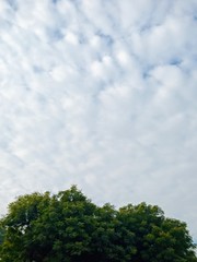 Fototapeta premium Sky being a cloudy