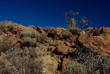 Teide National Park rocks showing their volcanic nature with attractive shapes and colours