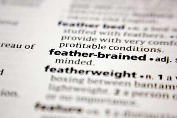 Word or phrase feather-brained in a dictionary.