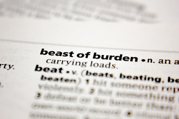 Fototapeta premium Word or phrase beast of burden in a dictionary.
