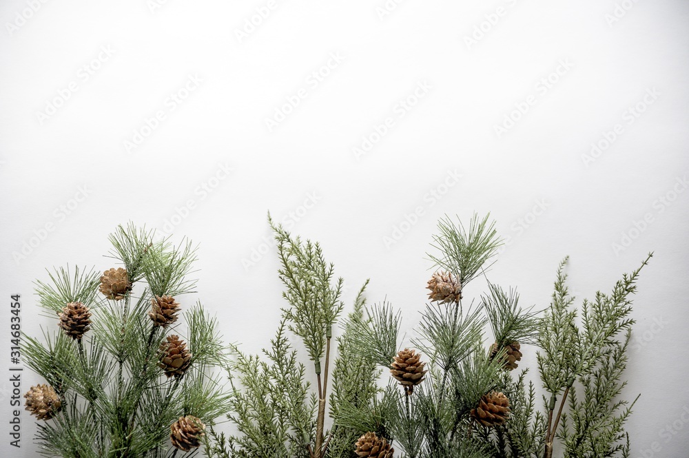 Aufkleber fir branches with acorns on a white surface with space for a text